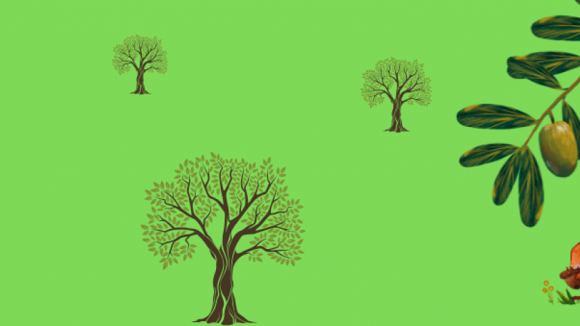 Ελιά & Καρποί: από την παρατήρηση στο παιχνίδι