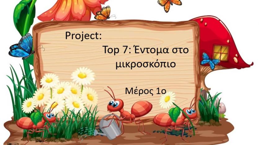 Top 7: Έντομα στο μικροσκόπιο - μέρος 1ο