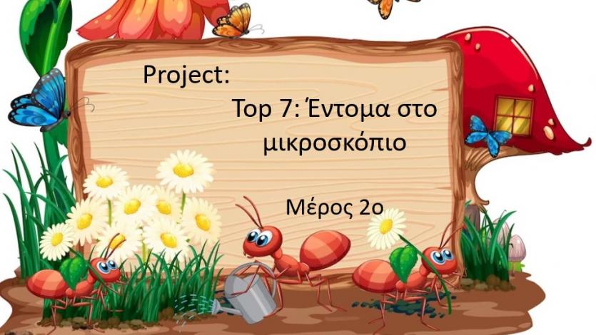 Top 7: Έντομα στο μικροσκόπιο - μέρος 2ο