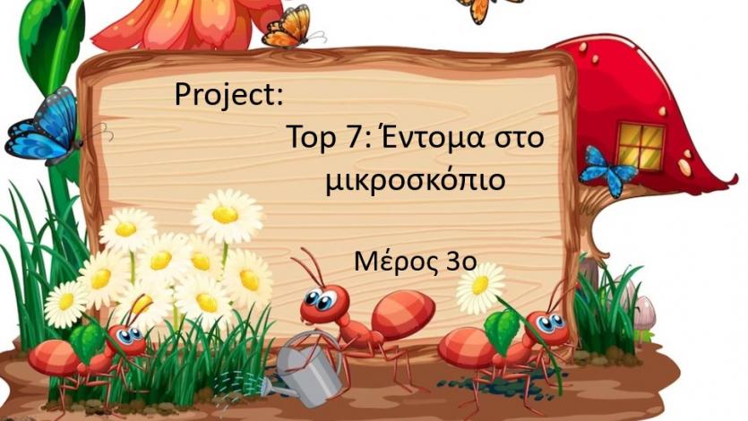 Top 7: Έντομα στο μικροσκόπιο - μέρος 3ο