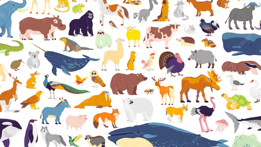 Μικρές πράξεις, μεγάλη αγάπη για τα ζώα