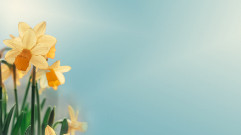 «Καλωσόρισες, άνοιξη!» 🌷💛