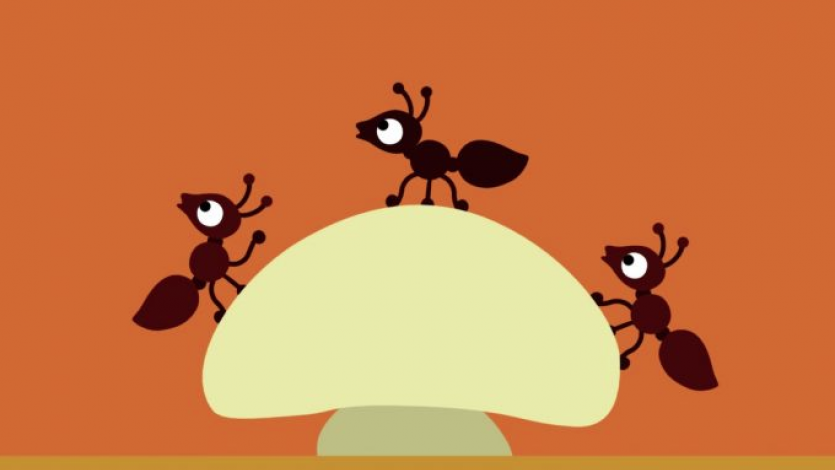 Τζιτζίκια και μυρμήγκια 