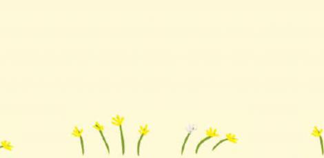 Η Κοτούλα Γεωμετρία...έρχεται στην τάξη σας!: Σεμινάριο + Βιβλίο + Εκπαιδευτικό Υλικό